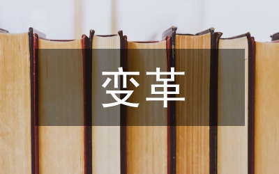 信息時(shí)代的會計(jì)信息變革詮釋
