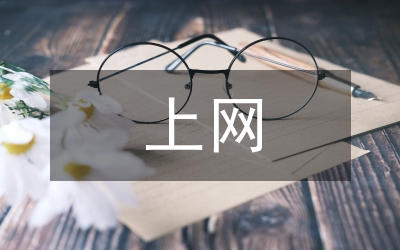 上網(wǎng)調(diào)查報(bào)告
