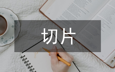切片紡生產(chǎn)工藝探討
