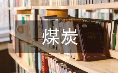 煤炭公司財務論文
