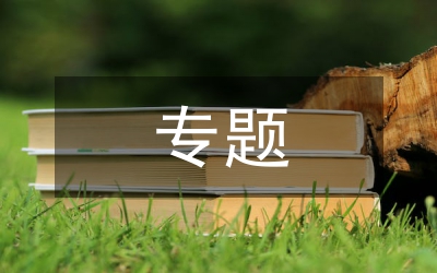 貫徹落實(shí)“三嚴(yán)三實(shí)”專題工作報(bào)告8篇