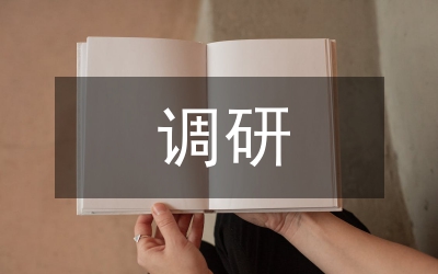 城管調(diào)研