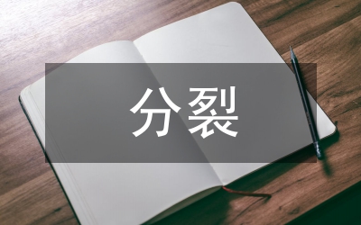 分裂國(guó)家罪研究論文