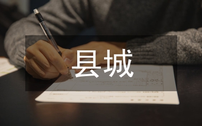 縣城市管理年工作方案