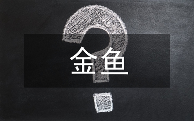 美麗的小金魚(yú)