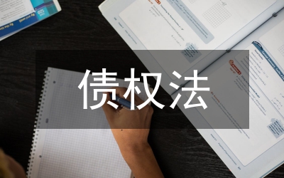 執(zhí)行人債權(quán)執(zhí)行論文