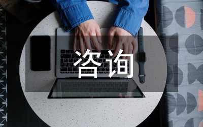地區(qū)咨詢工作感想