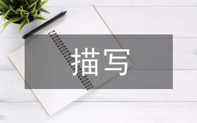 細(xì)節(jié)描寫片段