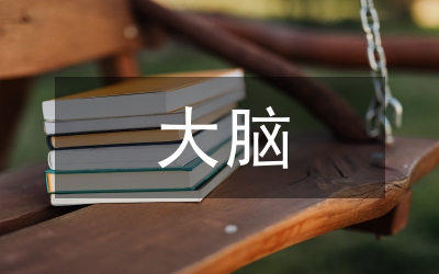 城市交通大腦應用現(xiàn)狀與業(yè)務體系分析
