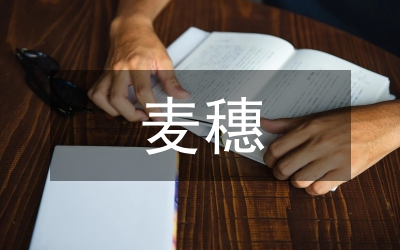 讀《最大的麥穗》有感 讀后感