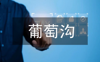 保護(hù)地葡萄種植論文