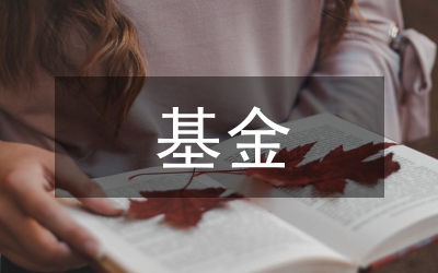 個(gè)人賬戶(hù)基金