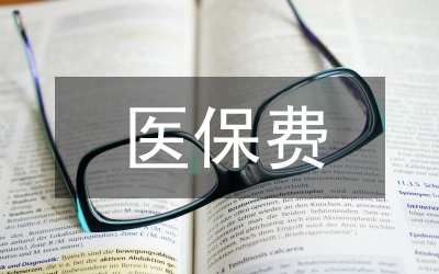 談常見效用函數(shù)下臨界保費的計算論文