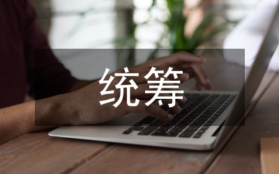 統(tǒng)籌人口征文