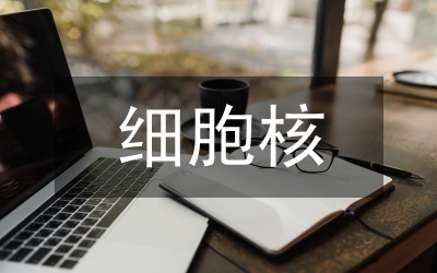 細胞核