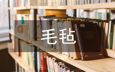 毛氈衍生產(chǎn)品創(chuàng)新設(shè)計(jì)研究