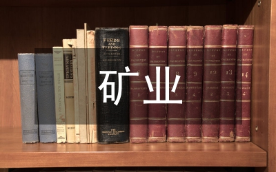 礦業(yè)公司工作總結(jié)