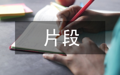 細節(jié)描寫的片段