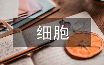 大鼠肝卵圓細(xì)胞細(xì)胞間黏附分子論文