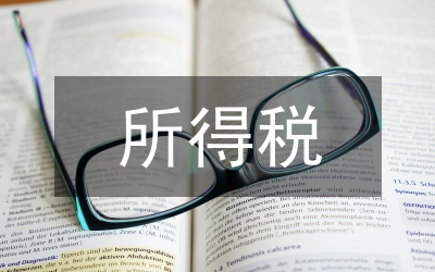 人所得稅風險控制及納稅籌劃