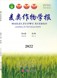 麥類作物學(xué)報(bào)