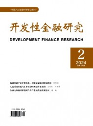 開(kāi)發(fā)性金融研究