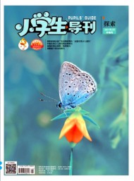 小學(xué)生導(dǎo)刊·中年級