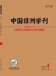 中國非洲學刊